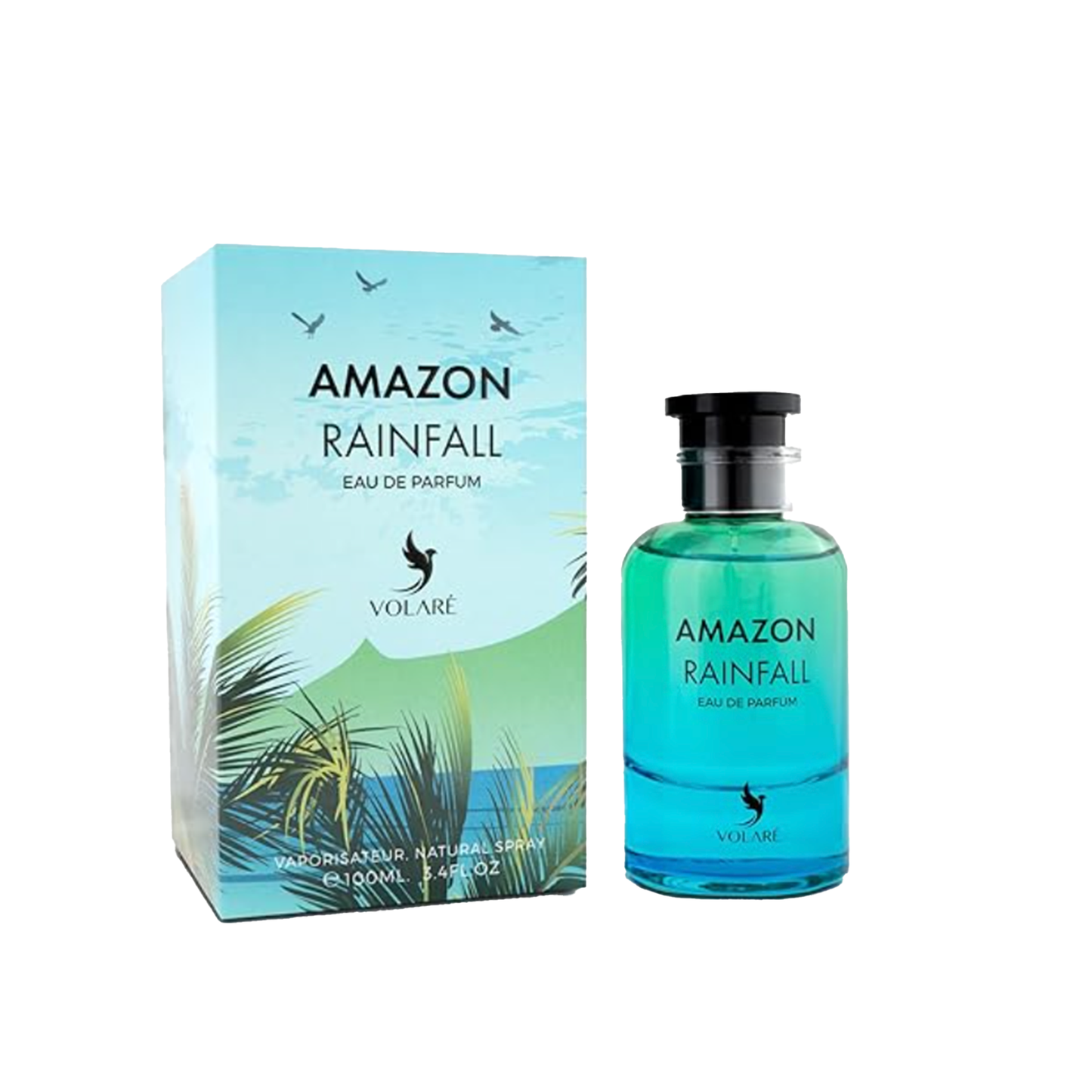 Amazon Rainfall
